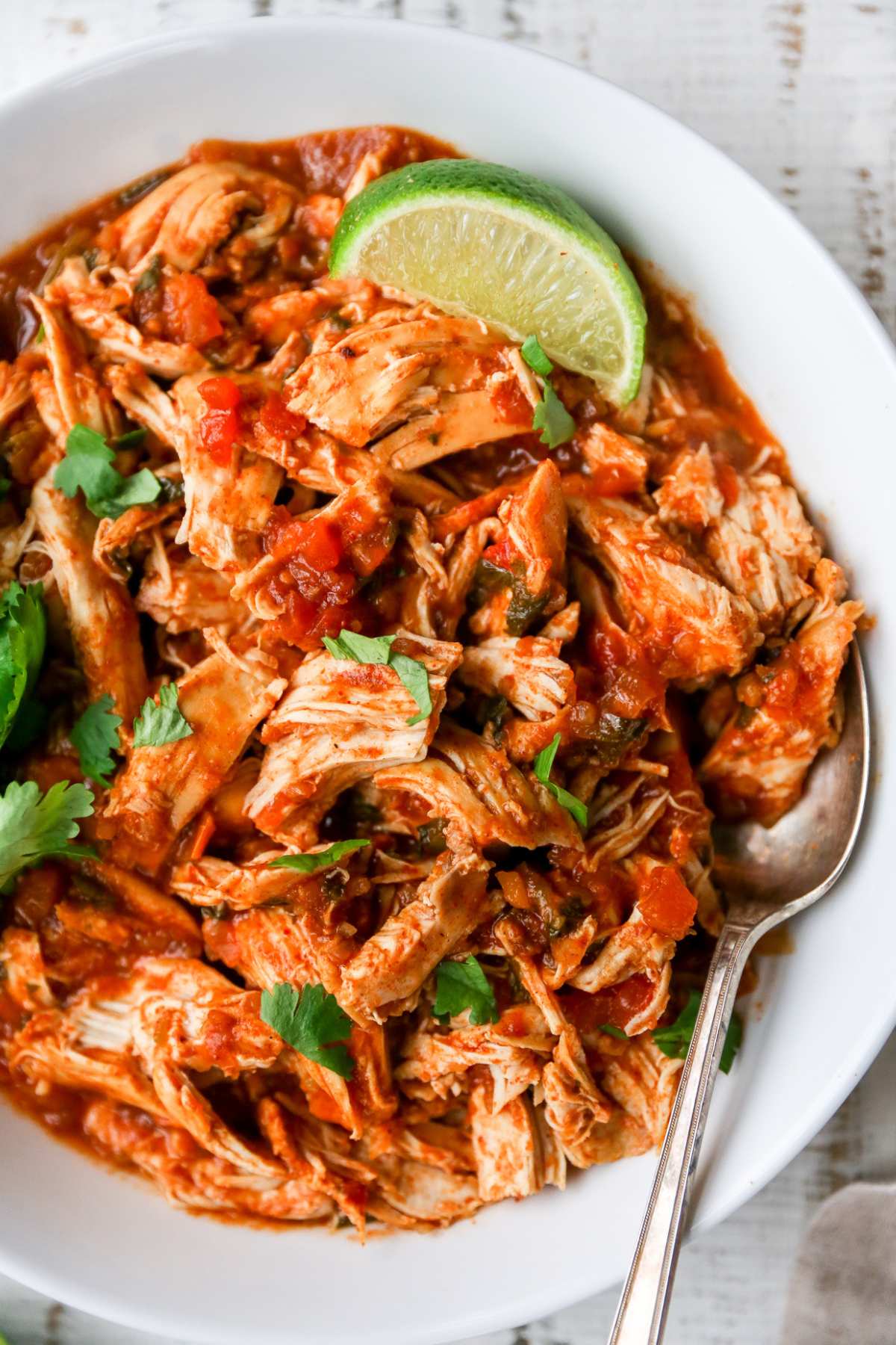Salsa Chicken